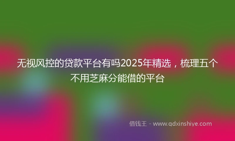 无视风控的贷款平台有吗2025年精选，梳理五个不用芝麻分能借的平台