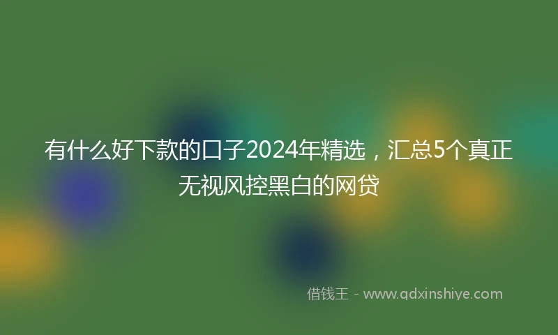 有什么好下款的口子2024年精选,汇总5个真正无视风控黑白的网贷
