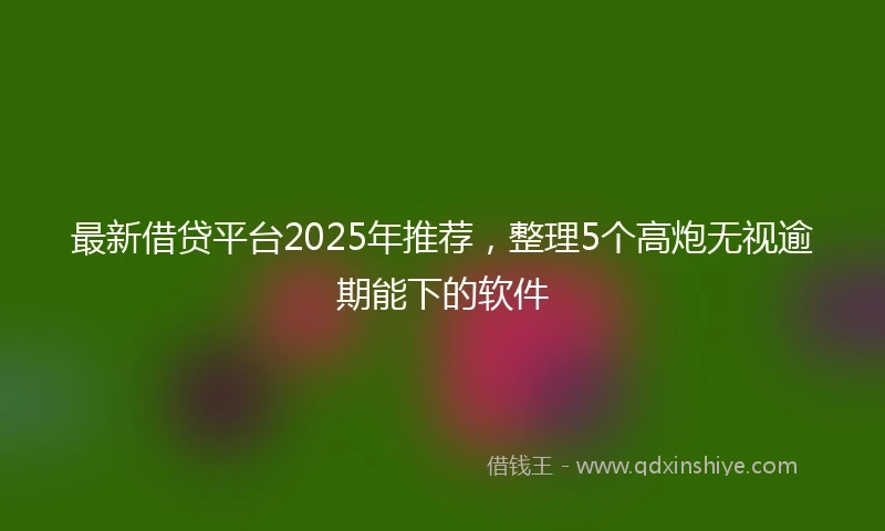 最新借贷平台2025年推荐，整理5个高炮无视逾期能下的软件