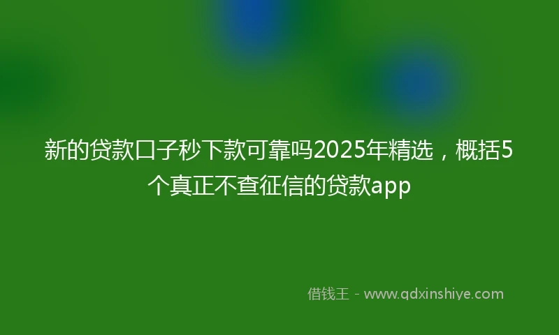 新的贷款口子秒下款可靠吗2025年精选，概括5个真正不查征信的贷款app