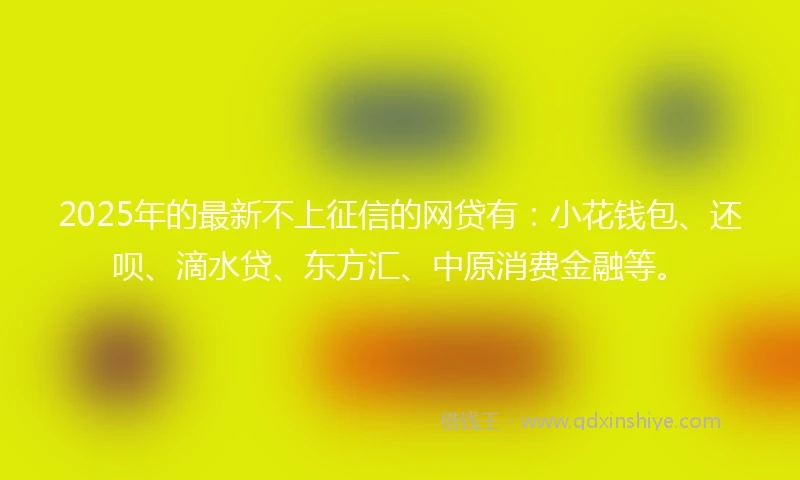 2025年的最新不上征信的网贷有：小花钱包、还呗、滴水贷、东方汇、中原消费金融等。