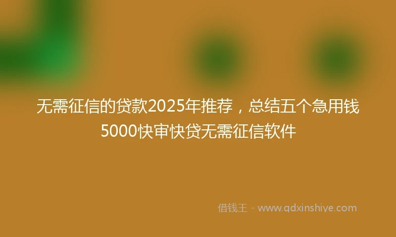 无需征信的贷款2025年推荐，总结五个急用钱5000快审快贷无需征信软件