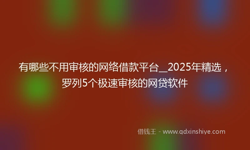 有哪些不用审核的网络借款平台__2025年精选，罗列5个极速审核的网贷软件
