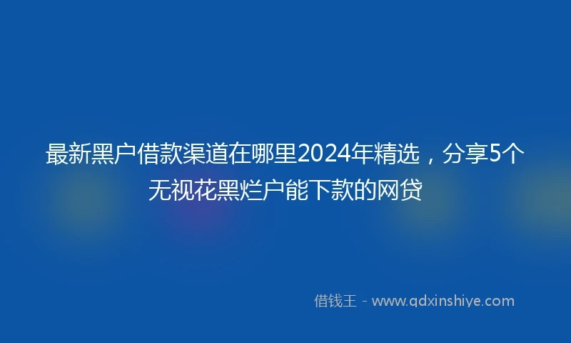 最新黑户借款渠道在哪里2024年精选，分享5个无视花黑烂户能下款的网贷