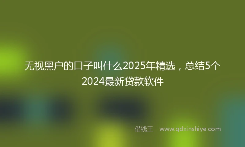无视黑户的口子叫什么2025年精选，总结5个2024最新贷款软件