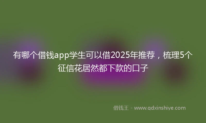 有哪个借钱app学生可以借2025年推荐，梳理5个征信花居然都下款的口子