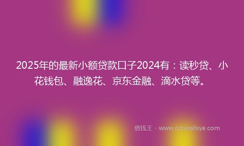 2025年的最新小额贷款口子2024有：读秒贷、小花钱包、融逸花、京东金融、滴水贷等。