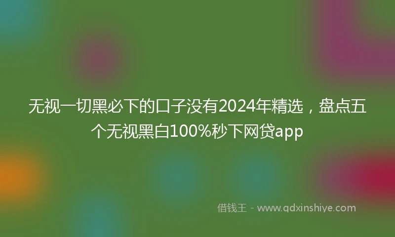 无视一切黑必下的口子没有2024年精选，盘点五个无视黑白100%秒下网贷app