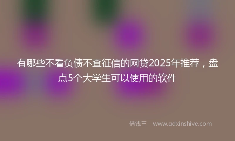 有哪些不看负债不查征信的网贷2025年推荐，盘点5个大学生可以使用的软件