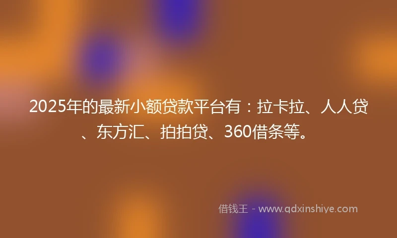2025年的最新小额贷款平台有：拉卡拉、人人贷、东方汇、拍拍贷、360借条等。