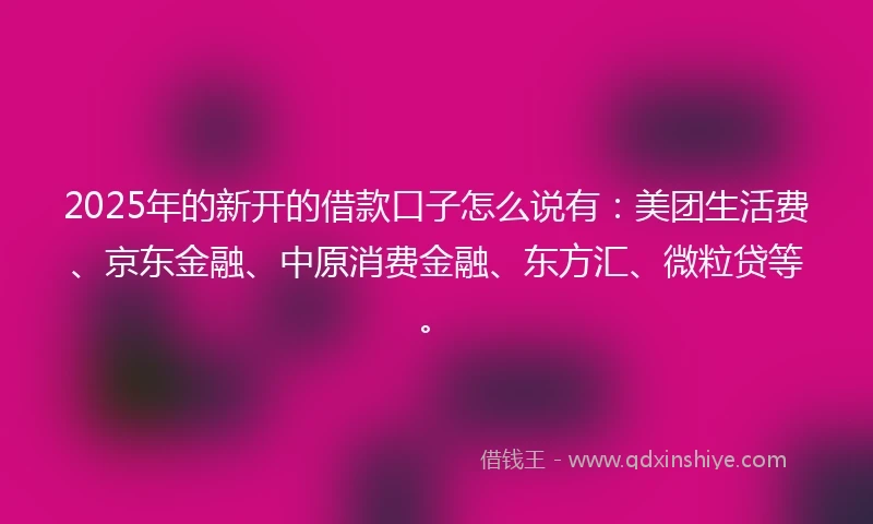 2025年的新开的借款口子怎么说有：美团生活费、京东金融、中原消费金融、东方汇、微粒贷等。