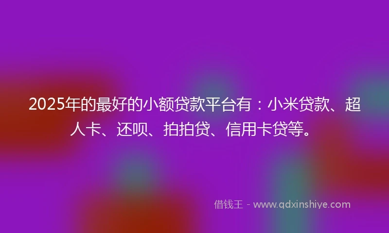 2025年的最好的小额贷款平台有：小米贷款、超人卡、还呗、拍拍贷、信用卡贷等。