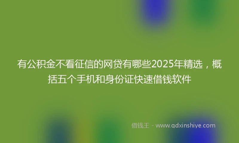 有公积金不看征信的网贷有哪些2025年精选，概括五个手机和身份证快速借钱软件
