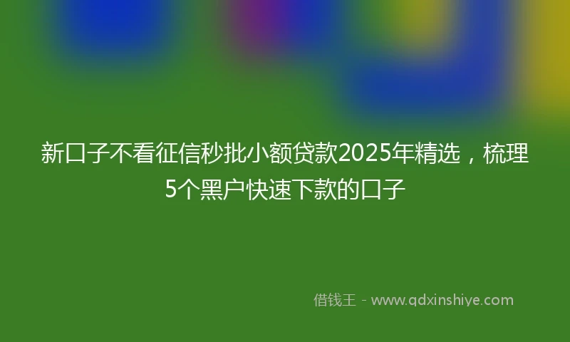 新口子不看征信秒批小额贷款2025年精选，梳理5个黑户快速下款的口子