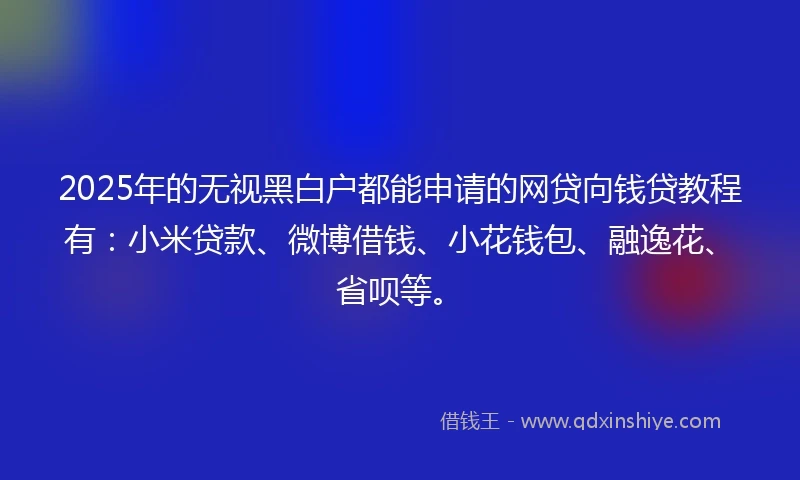 2025年的无视黑白户都能申请的网贷向钱贷教程有：小米贷款、微博借钱、小花钱包、融逸花、省呗等。