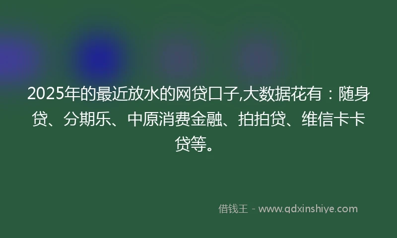 2025年的最近放水的网贷口子,大数据花有：随身贷、分期乐、中原消费金融、拍拍贷、维信卡卡贷等。