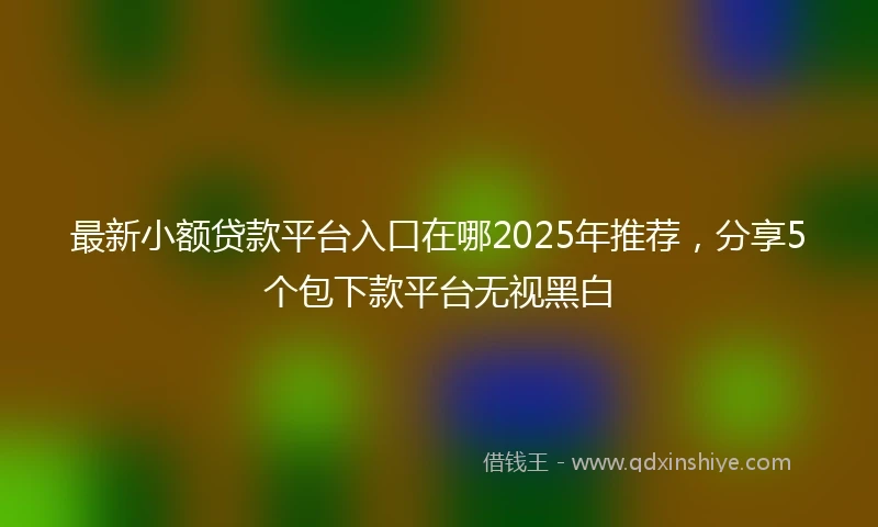 最新小额贷款平台入口在哪2025年推荐，分享5个包下款平台无视黑白