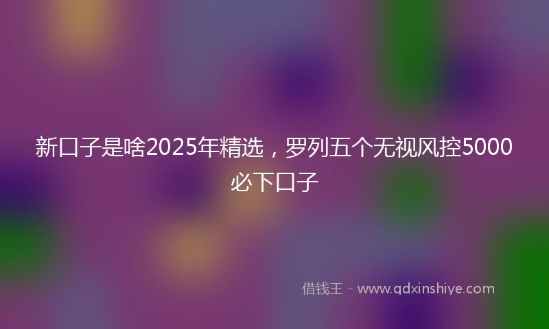 新口子是啥2025年精选，罗列五个无视风控5000必下口子