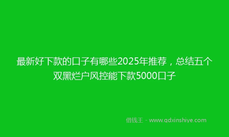 最新好下款的口子有哪些2025年推荐，总结五个双黑烂户风控能下款5000口子