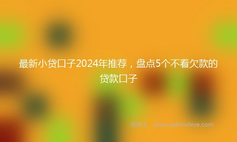 最新小贷口子2024年推荐，盘点5个不看欠款的贷款口子