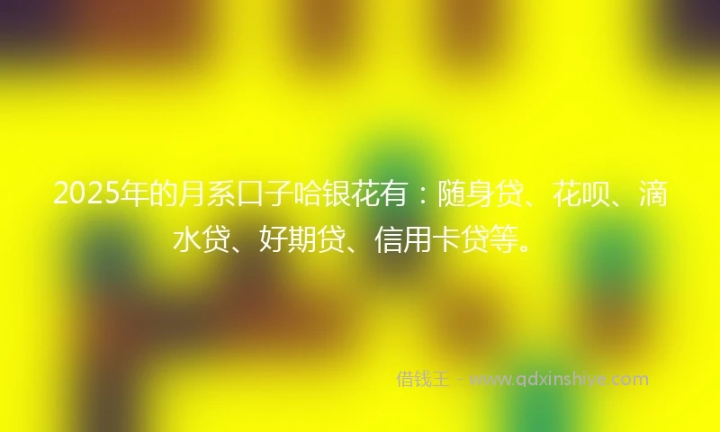 2025年的月系口子哈银花有：随身贷、花呗、滴水贷、好期贷、信用卡贷等。