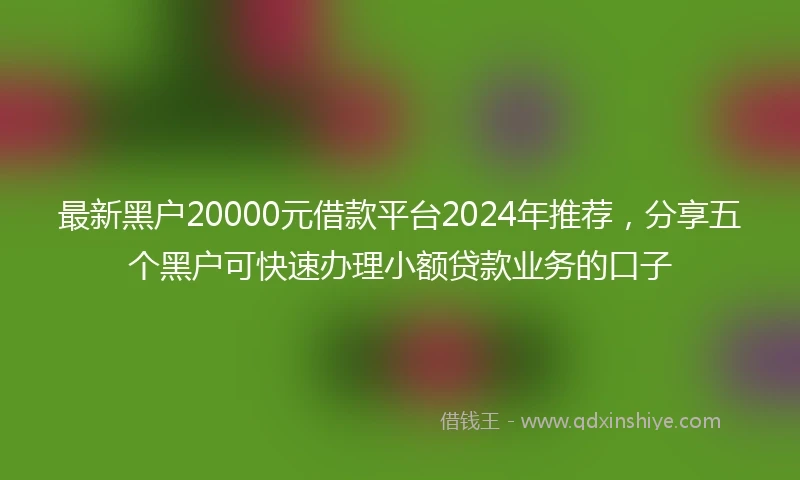 最新黑户20000元借款平台2024年推荐，分享五个黑户可快速办理小额贷款业务的口子