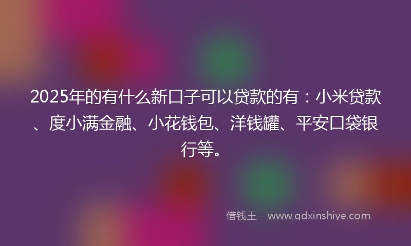 2025年的有什么新口子可以贷款的有：小米贷款、度小满金融、小花钱包、洋钱罐、平安口袋银行等。