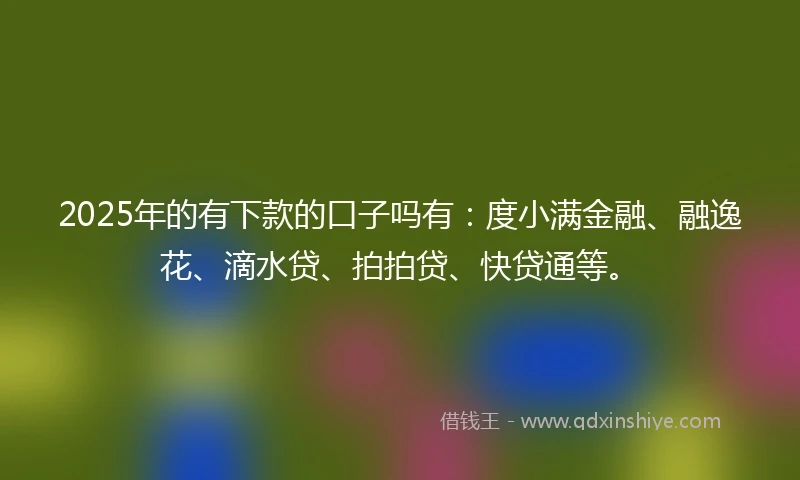 2025年的有下款的口子吗有：度小满金融、融逸花、滴水贷、拍拍贷、快贷通等。