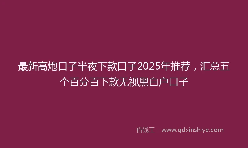 最新高炮口子半夜下款口子2025年推荐，汇总五个百分百下款无视黑白户口子
