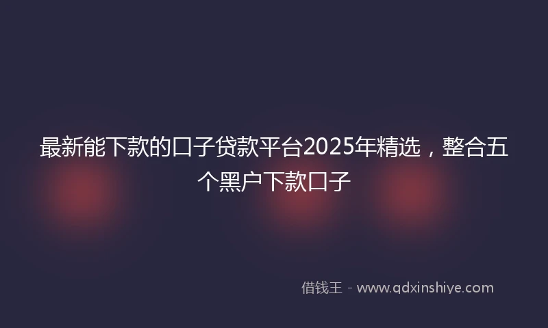 最新能下款的口子贷款平台2025年精选，整合五个黑户下款口子