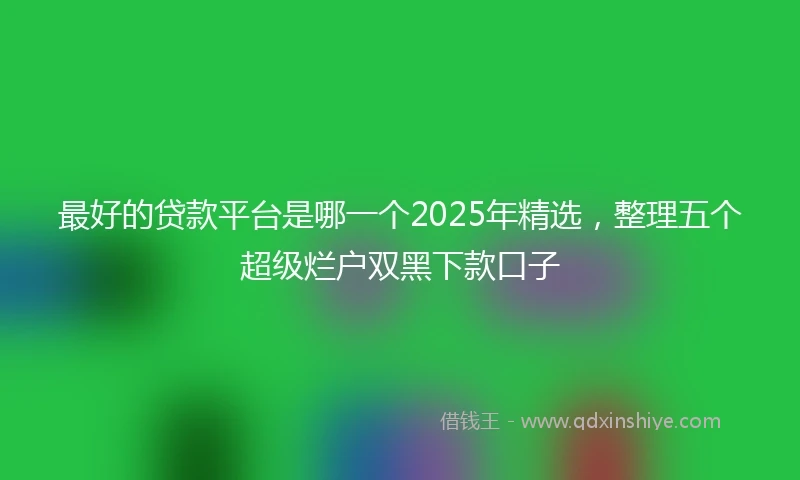 最好的贷款平台是哪一个2025年精选，整理五个超级烂户双黑下款口子