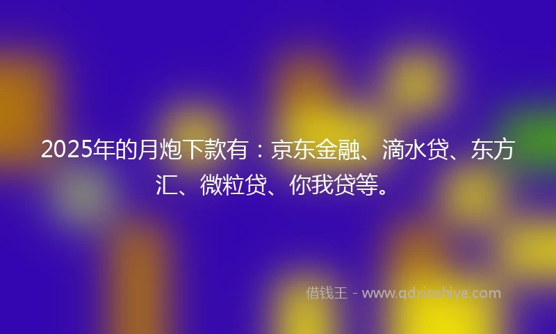 2025年的月炮下款有：京东金融、滴水贷、东方汇、微粒贷、你我贷等。