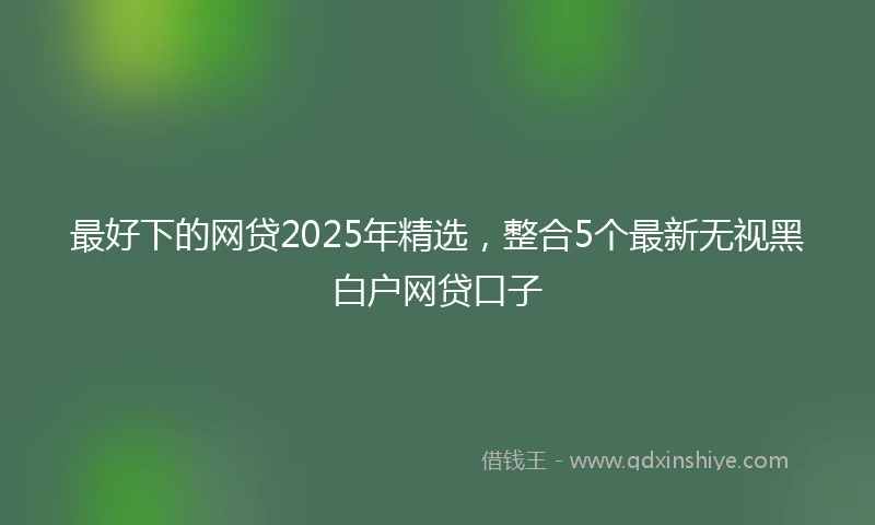 最好下的网贷2025年精选，整合5个最新无视黑白户网贷口子