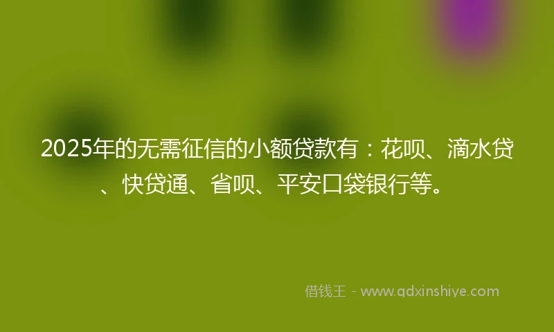 2025年的无需征信的小额贷款有：花呗、滴水贷、快贷通、省呗、平安口袋银行等。