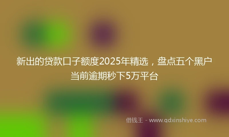 新出的贷款口子额度2025年精选，盘点五个黑户当前逾期秒下5万平台