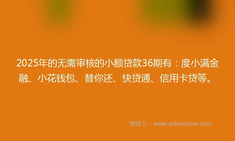 2025年的无需审核的小额贷款36期有：度小满金融、小花钱包、替你还、快贷通、信用卡贷等。