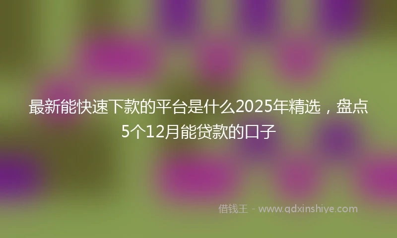 最新能快速下款的平台是什么2025年精选，盘点5个12月能贷款的口子