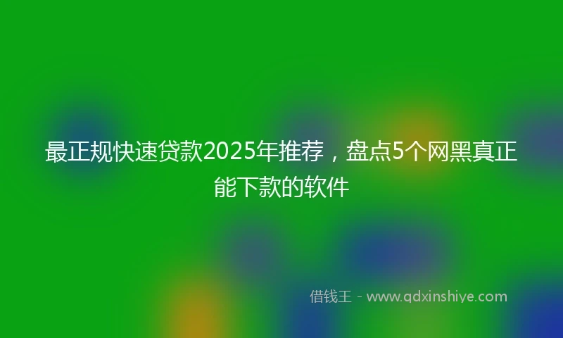 最正规快速贷款2025年推荐，盘点5个网黑真正能下款的软件