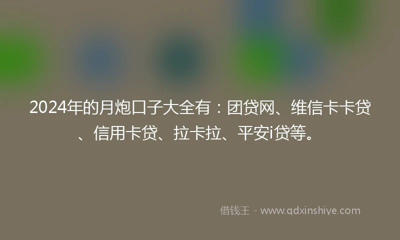 2024年的月炮口子大全有：团贷网、维信卡卡贷、信用卡贷、拉卡拉、平安i贷等。