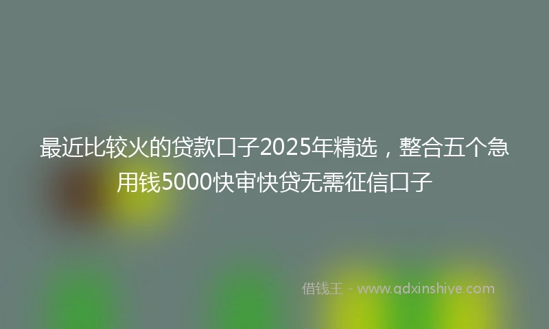 最近比较火的贷款口子2025年精选，整合五个急用钱5000快审快贷无需征信口子