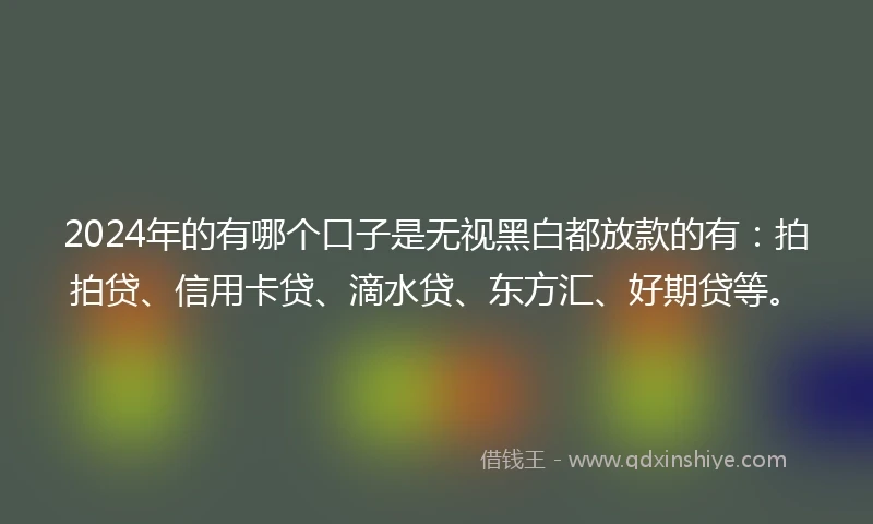 2024年的有哪个口子是无视黑白都放款的有：拍拍贷、信用卡贷、滴水贷、东方汇、好期贷等。