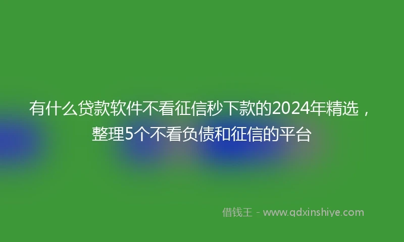 有什么贷款软件不看征信秒下款的2024年精选，整理5个不看负债和征信的平台