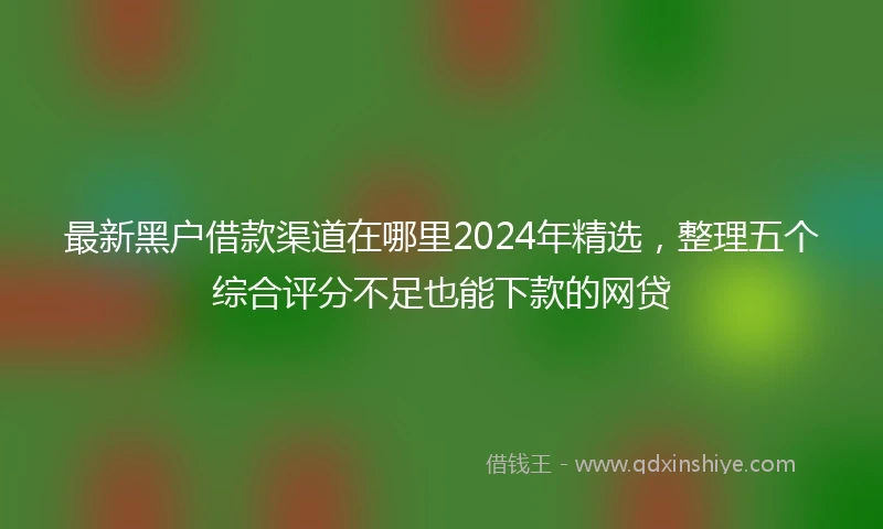 最新黑户借款渠道在哪里2024年精选，整理五个综合评分不足也能下款的网贷
