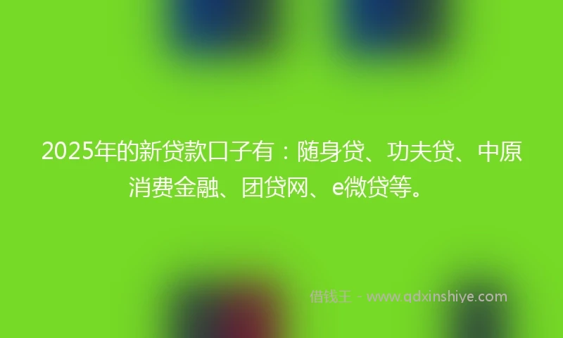 2025年的新贷款口子有：随身贷、功夫贷、中原消费金融、团贷网、e微贷等。