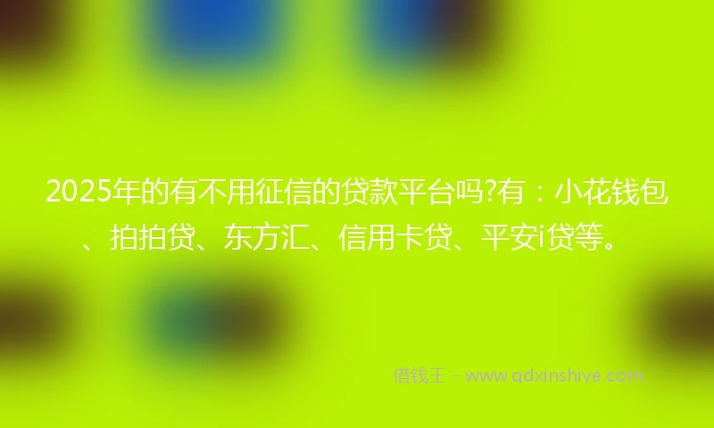 2025年的有不用征信的贷款平台吗?有:小花钱包、拍拍贷、东方汇、信用卡贷、平安i贷等。