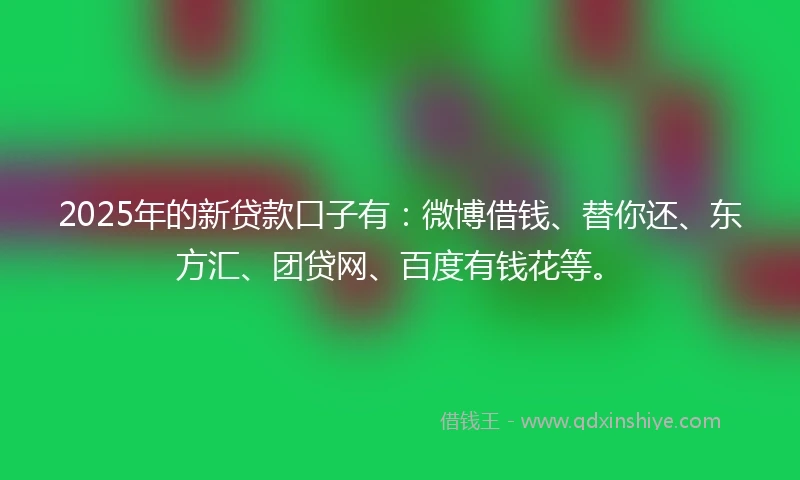 2025年的新贷款口子有：微博借钱、替你还、东方汇、团贷网、百度有钱花等。