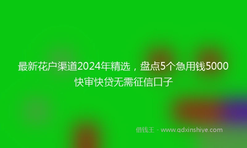 最新花户渠道2024年精选，盘点5个急用钱5000快审快贷无需征信口子