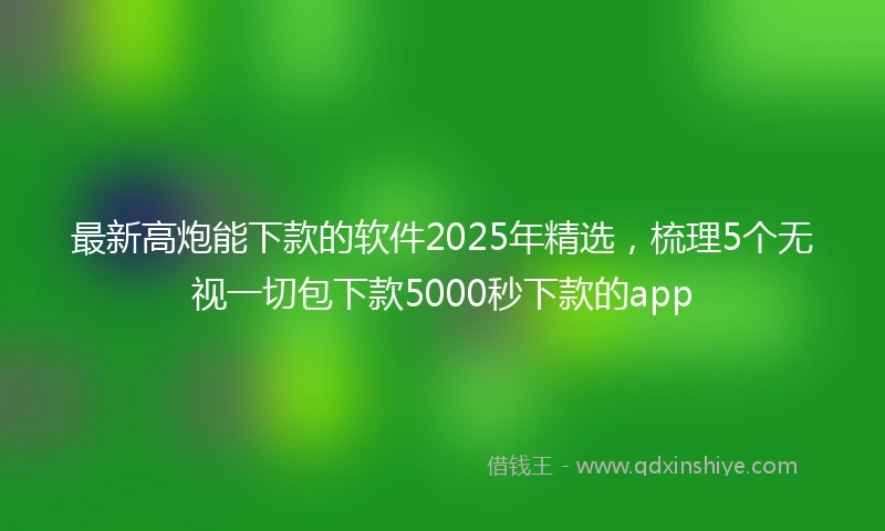 最新高炮能下款的软件2025年精选，梳理5个无视一切包下款5000秒下款的app