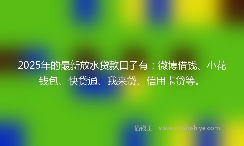 2025年的最新放水贷款口子有：微博借钱、小花钱包、快贷通、我来贷、信用卡贷等。