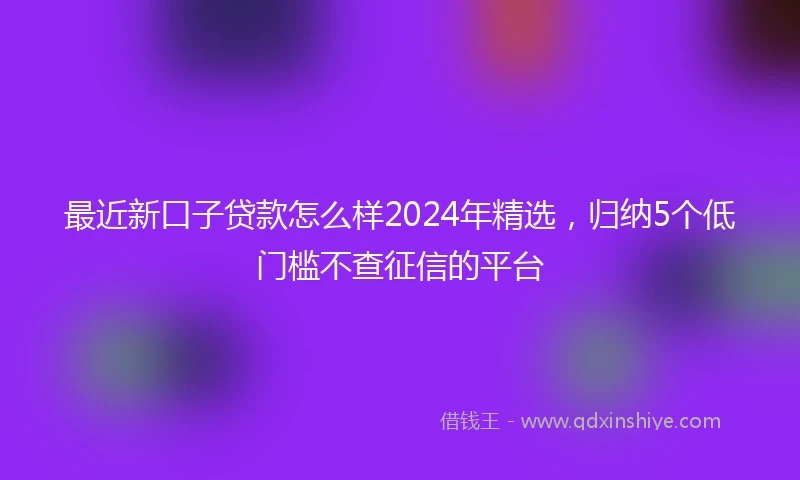最近新口子贷款怎么样2024年精选，归纳5个低门槛不查征信的平台